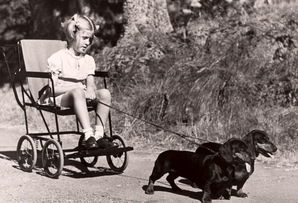 Valerie Lang with dogs